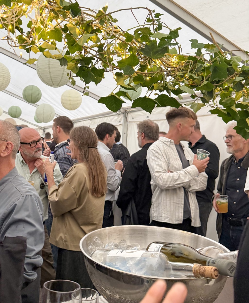 IMG_5265_beskåret